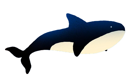 Orca Icon